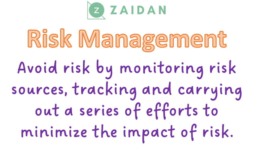Risk Management in Projects